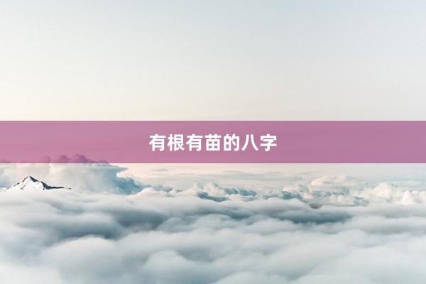 有根有苗的八字